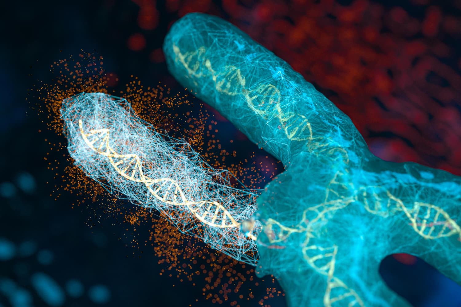 DNA FISH